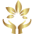 Odomi Medical Spa Logo Favicon in Savannah, GA